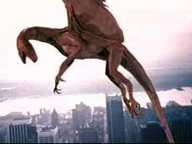 Q The Winged Serpent