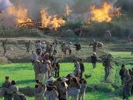 Platoon