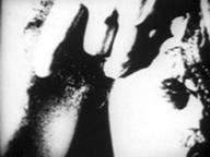 Begotten